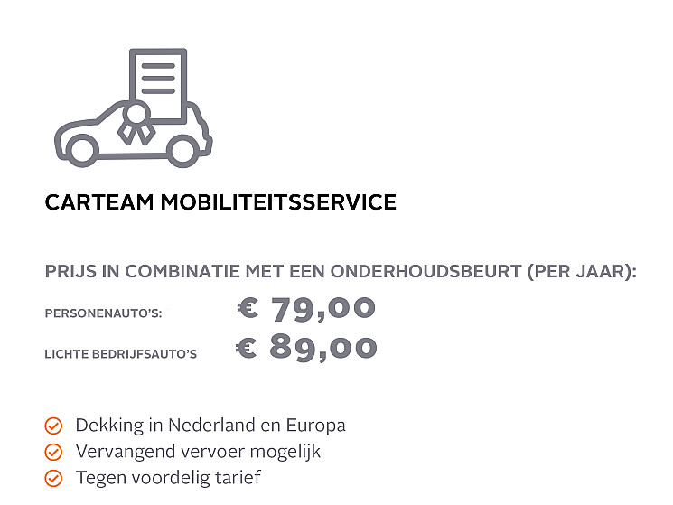 Carteam Autoservice Peter Luik