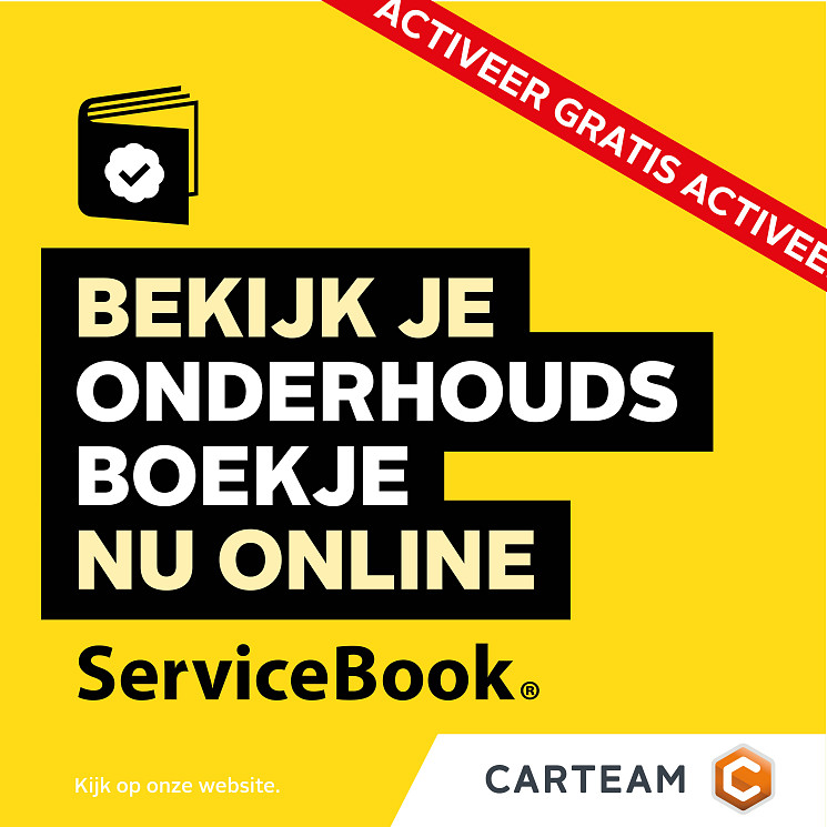 Carteam Autoservice Peter Luik
