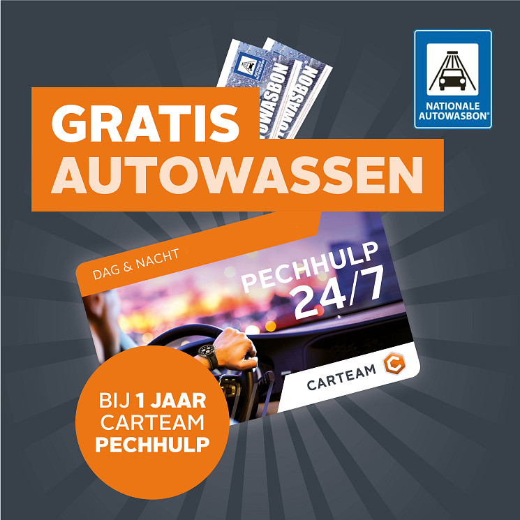 Carteam Autoservice Peter Luik